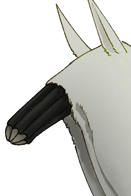 Headshot of Slopebacked Horse