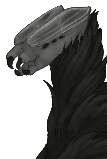 Headshot of Weingand