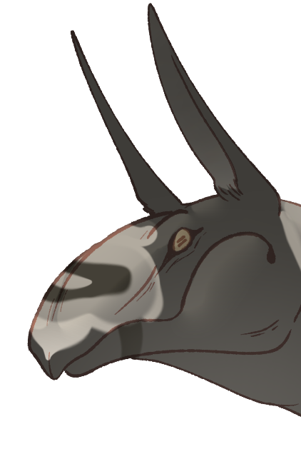 Headshot of Zwedar