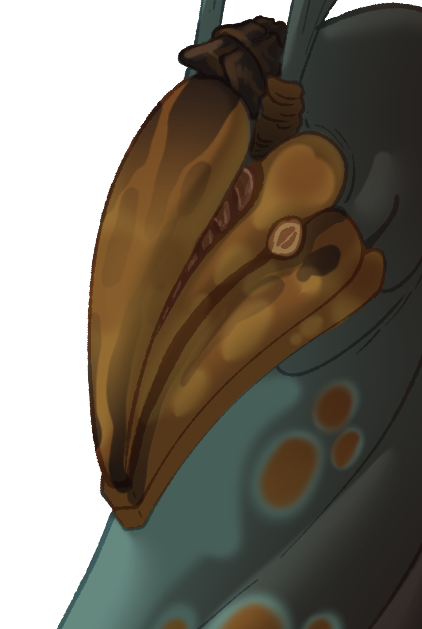 Headshot of Kauzwem