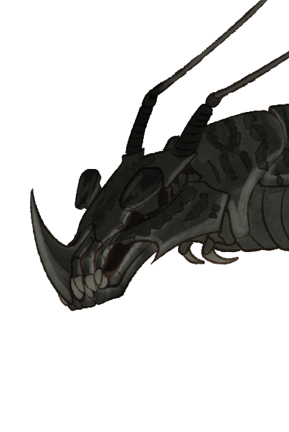 Headshot of Kauzen Klall