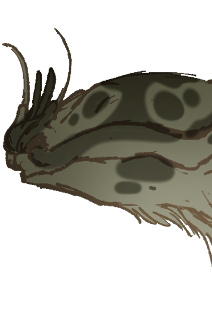 Headshot of Rwhedäʐ