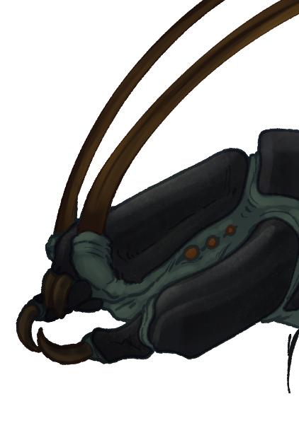 Headshot of Vollgratteen