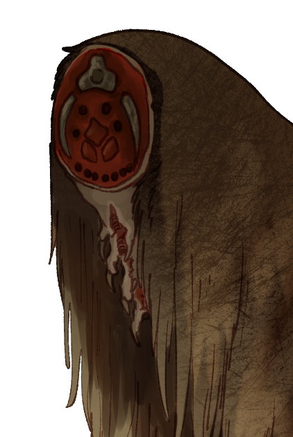 Headshot of Border Giraffe