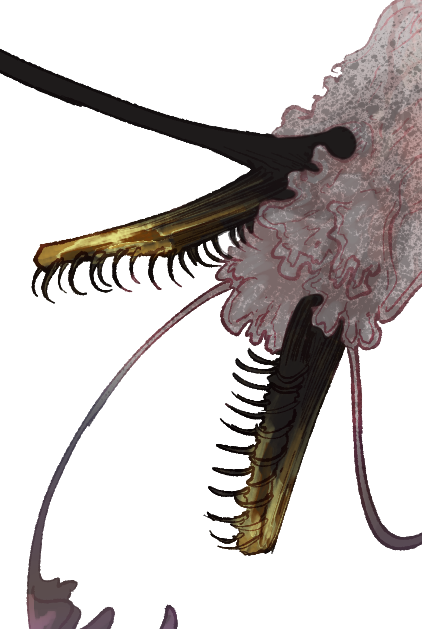 Headshot of Khnisöne