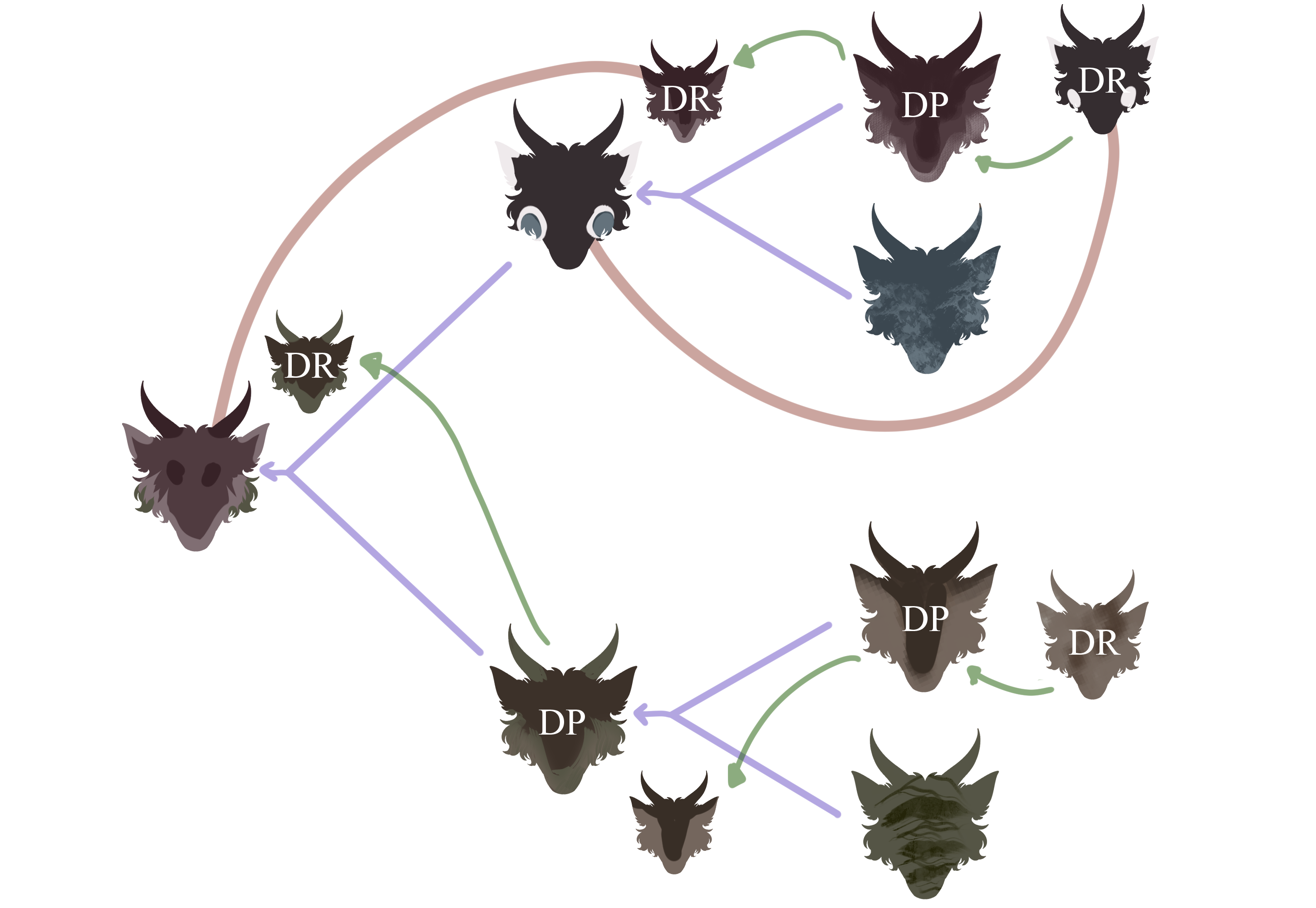 Visual of how their lineages/genetics work