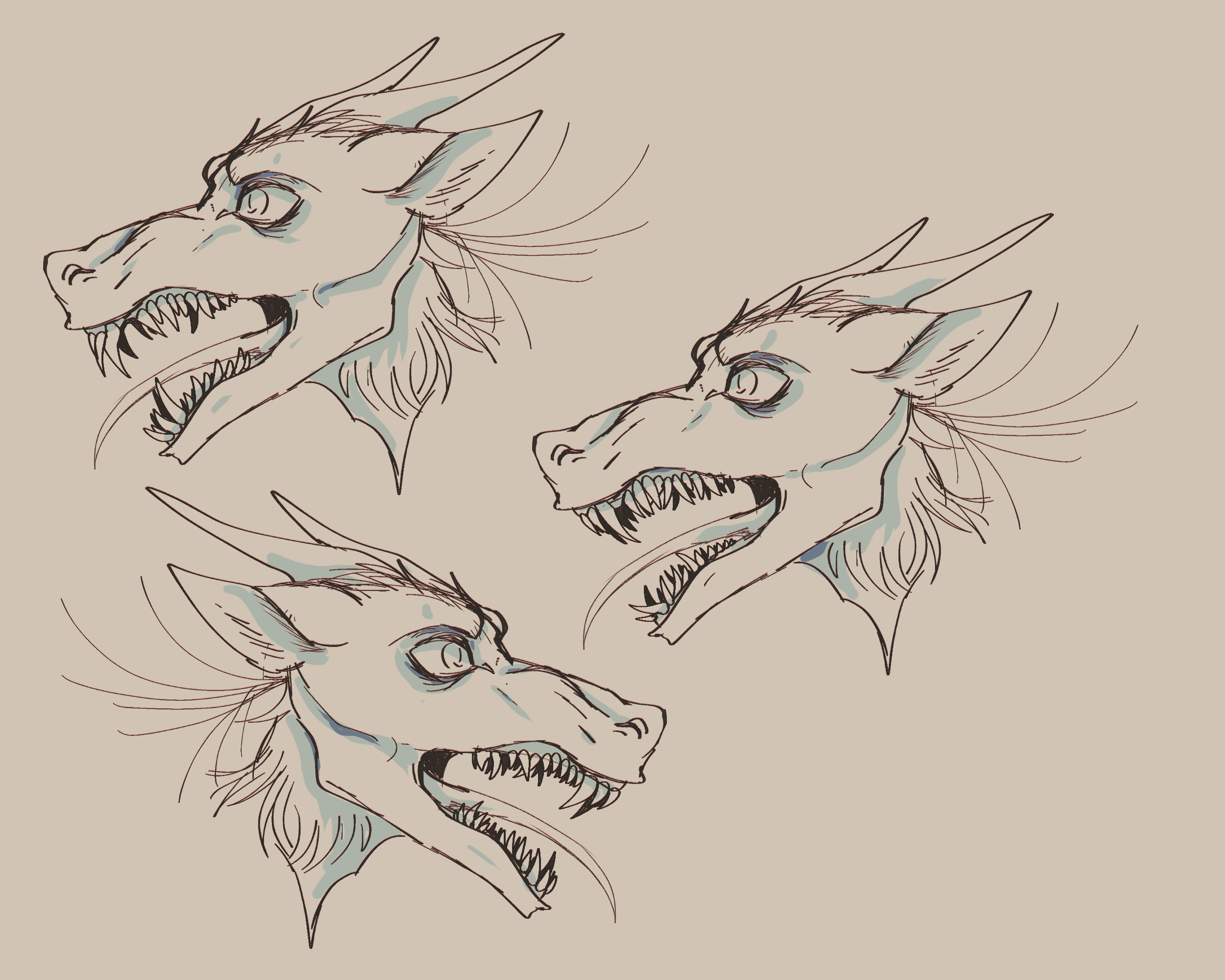 Images of various maws with different amounts of teeth